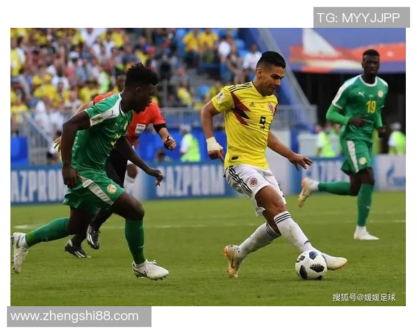 巴西与厄瓜多尔激战预选赛精彩瞬间回顾与分析