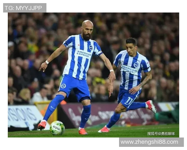 布赖顿与伯明翰的精彩对决揭示英冠联赛的激烈竞争与球队实力较量